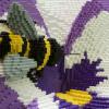 pansy_detail