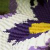 pansy_detail_2