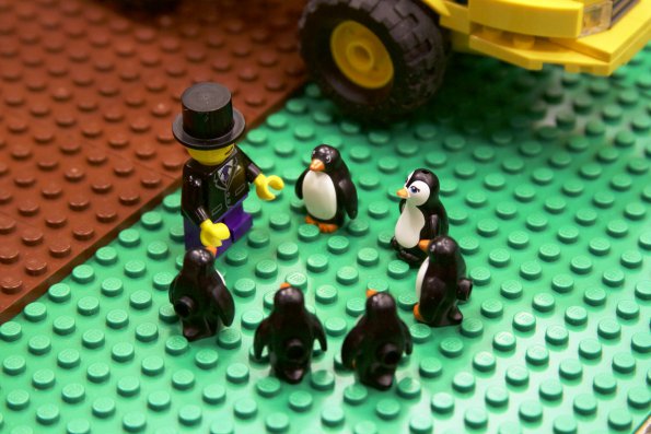 rb_raft_penguins